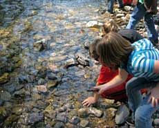 Natural Resource Field Day participants