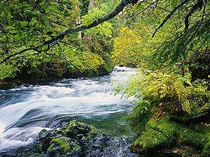 photo of flowing water