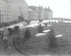 Happy 115th Birthday, Utah State University