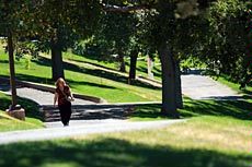 pathway on Old Main Hill