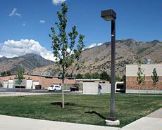 site of the USU permaculture garden