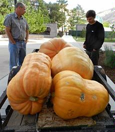 professor and student with a gian pumpkin