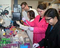 USU's synthetic spider silk lab and researchers