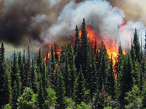 a photo illustrating a wildfire for USU's Restoring the West Conference