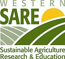 SARE logo illustration