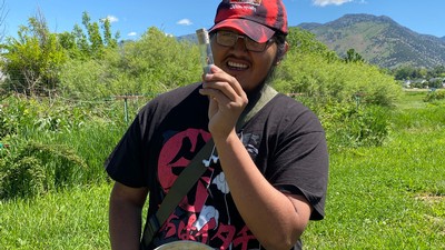 Rex Harvey looks at a bee in a vial.