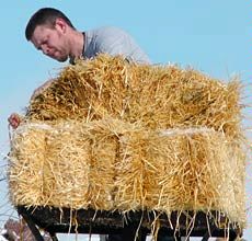 USU student David Baird building a goose nest platform