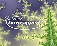 USU's October Science Unwrapped logo