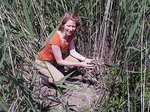 Karin Kettenring doing field work