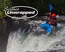 Science Unwrapped illustration for Feb. 1 event