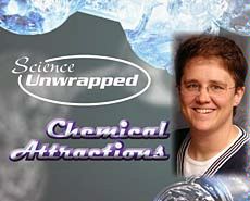 Sept. 12 Science Unwrapped promotional graphic