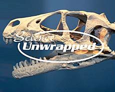 College of Science, Science Unwrapped, 'Ancient Stories' logo