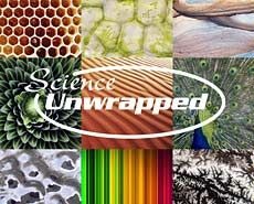 College of Science fall Science Unwrapped logo