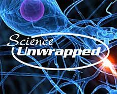 USU's Science Unwrapped logo