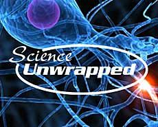 USU's Science Unwrapped logo illustration