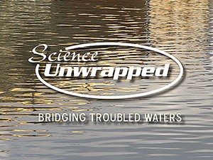 graphic illustration for USU's Science Unwrapped Series'