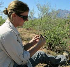 USU doctoral biology student Erica Christensen