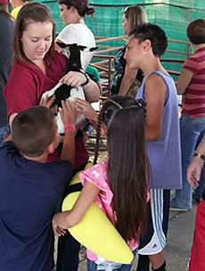a baby goat kid and crowd at the Utah State Fair