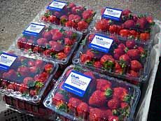 strawberries in packages