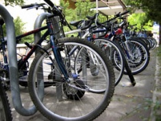 Bikes locked on campus