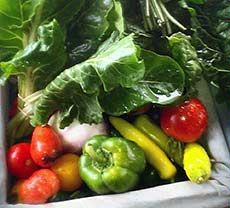 a basket of vegetables from the USU Student Organic Farm