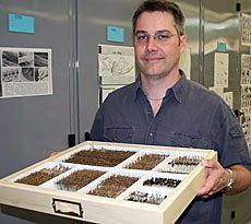 USU entomologist James Pitts 