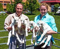 USTAR researchers Randy Lewis and Irina Polejaeva with transgenic twin goats