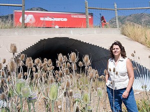USU faculty member Patricia Cramer at a wildlife crossing