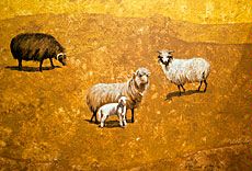 wall mural, sheep illustration, USU Museum of Anthropology