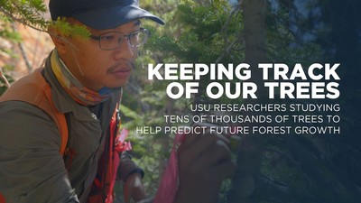 Image Reads: Keeping Track of Our Trees