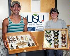 USU students with insect specimen displays