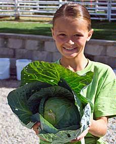 A Utah 4-H junior master gardener holding a cabbage