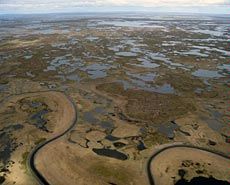 Alaska's Y-K Delta from the air