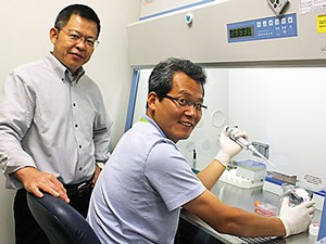 USU faculty researchers Shongde Wang and Sang R. Lee