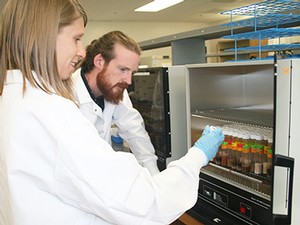USU ecologists in lab