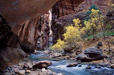 Water flows through a canyon in the West