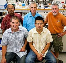 USU researchers at the IAR
