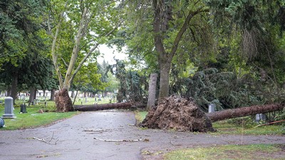 Damage in the Logan City Cemetery following hurricane-force winds in September.