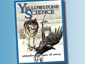 Cover of ‘Yellowstone Science,’ a research journal