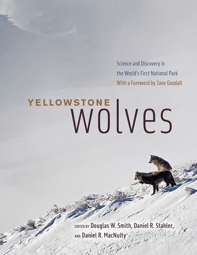 "Yellowstone Wolves" book cover