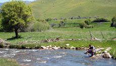 South Fork of Little Bear River