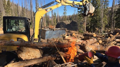 A mini excavator loads logs as large as 30 inches in diameter into two big box kilns.