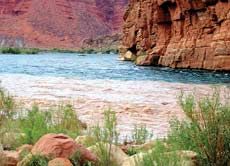 muddy water mixing with clear water in Colorado River