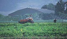 Sustainable Agriculture: Not Business as Usual