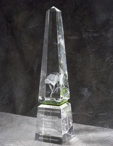 the crystal award