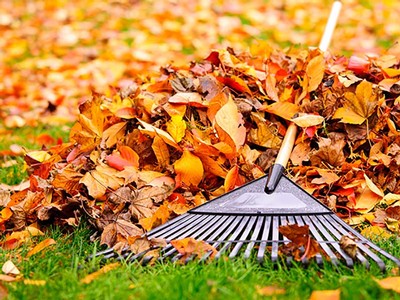 rake with fall leaves