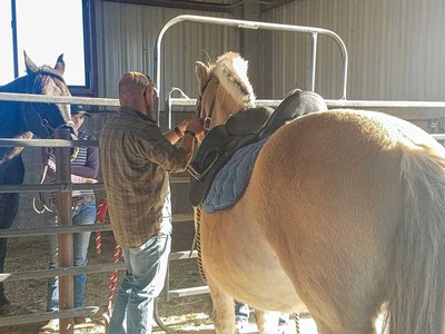 Participants in the Pathways to Horsemanship program begin by learning to saddle the horse.