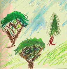 Random Forests illustration