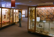 a visitor looks at display