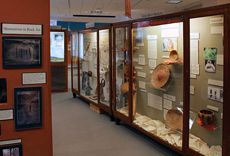Museum of Anthropology display area